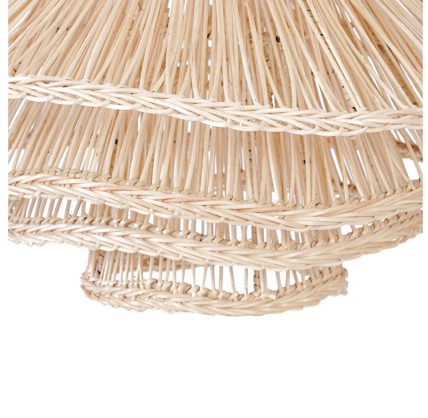 Shiitake Suspension