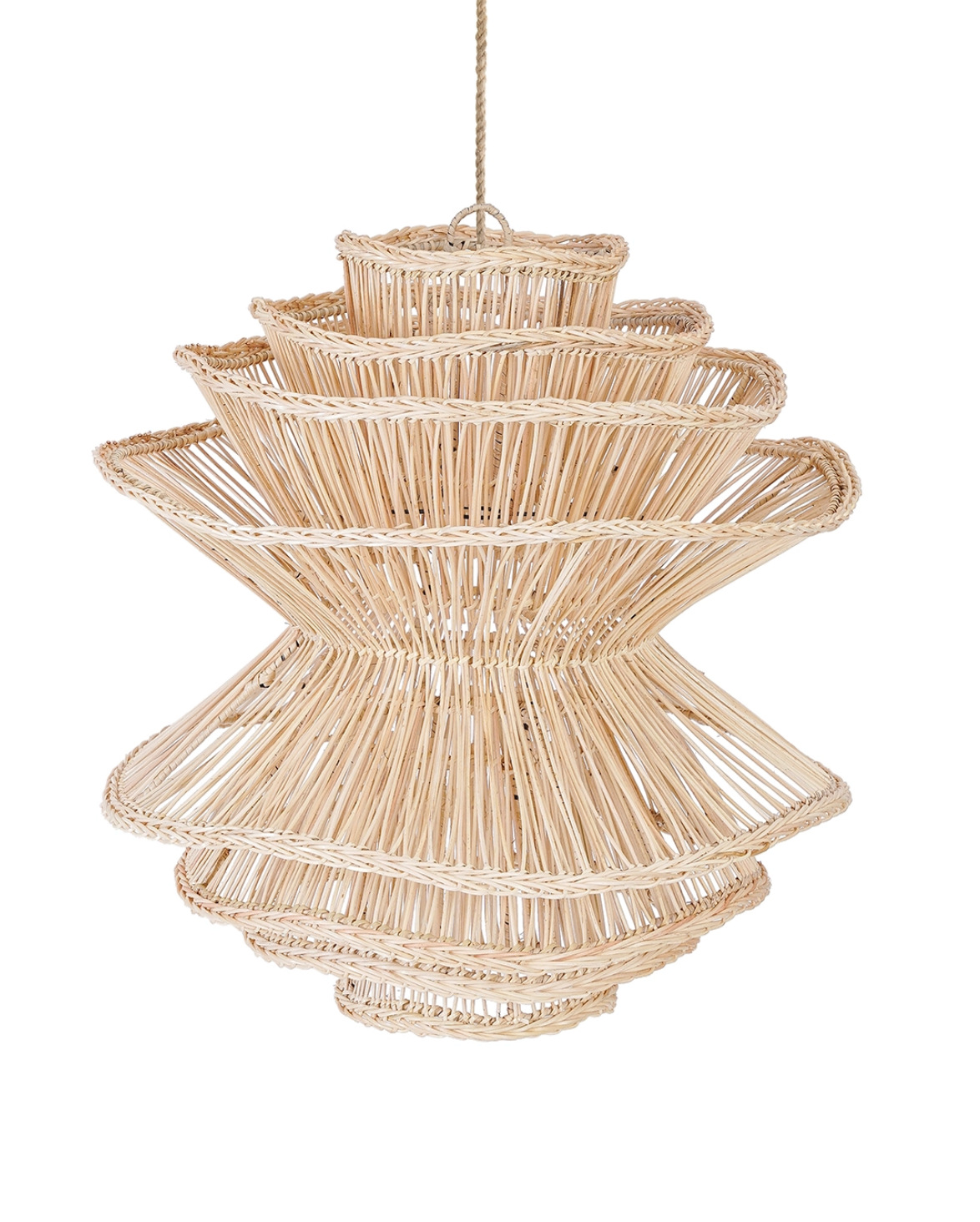 Shiitake Suspension
