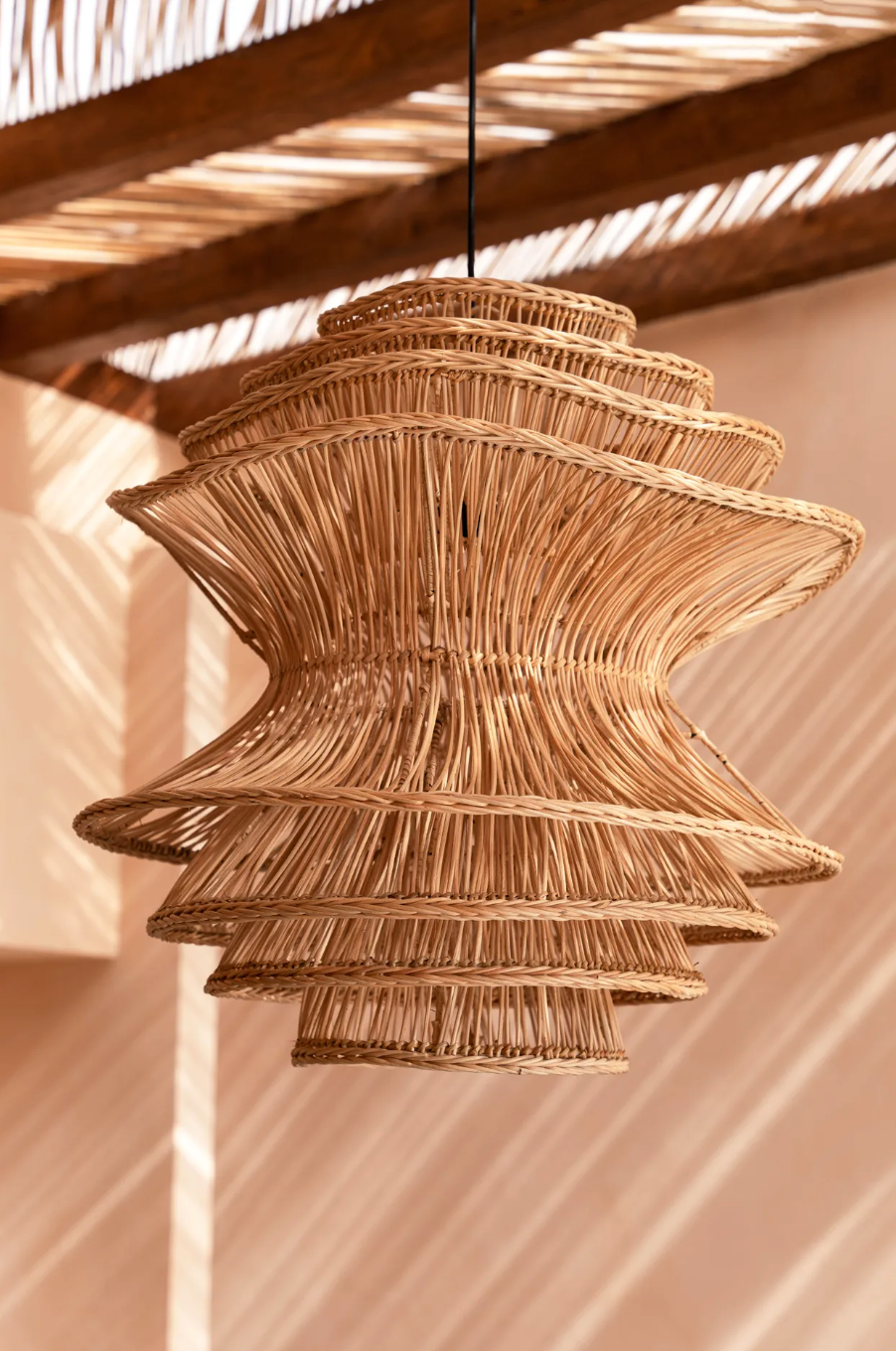 Shiitake Suspension