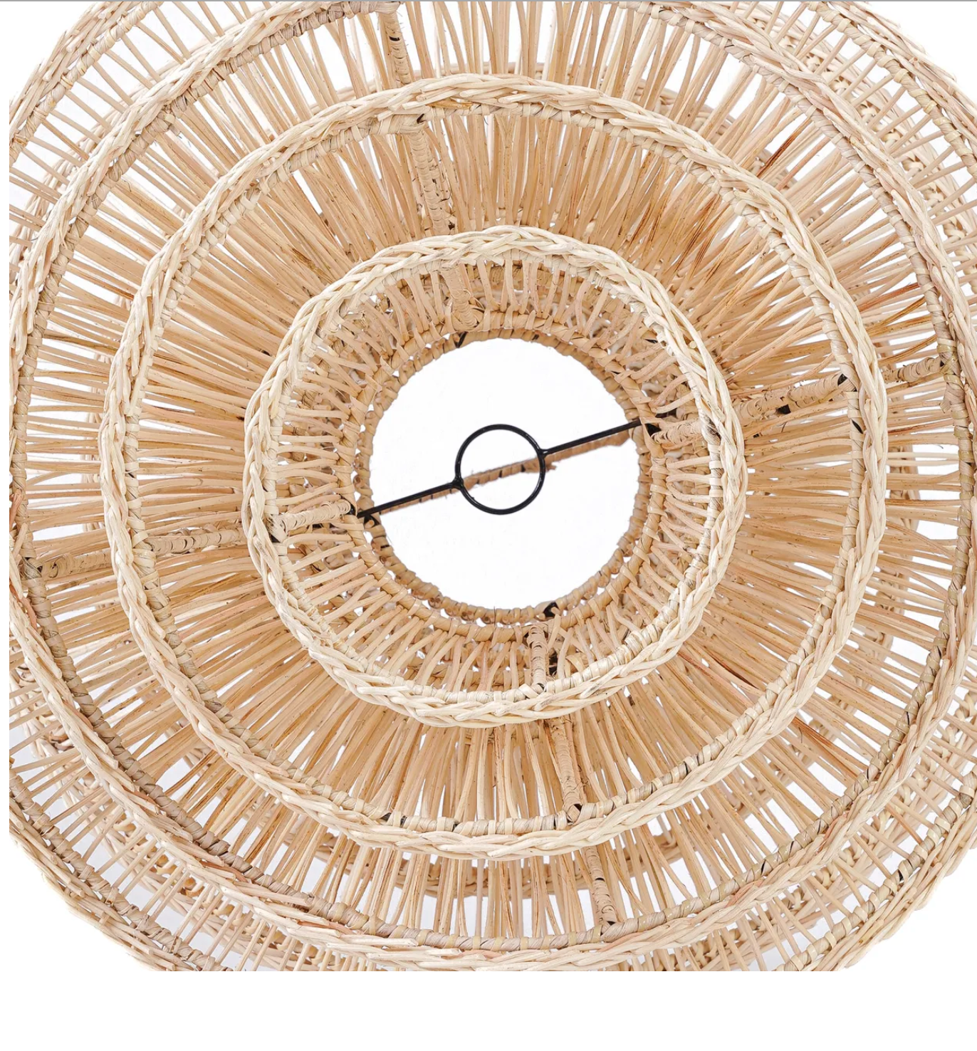 Shiitake Suspension