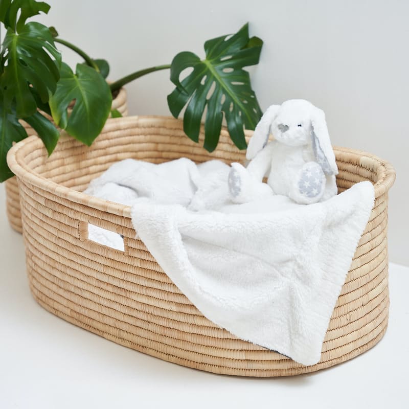 Moses Basket