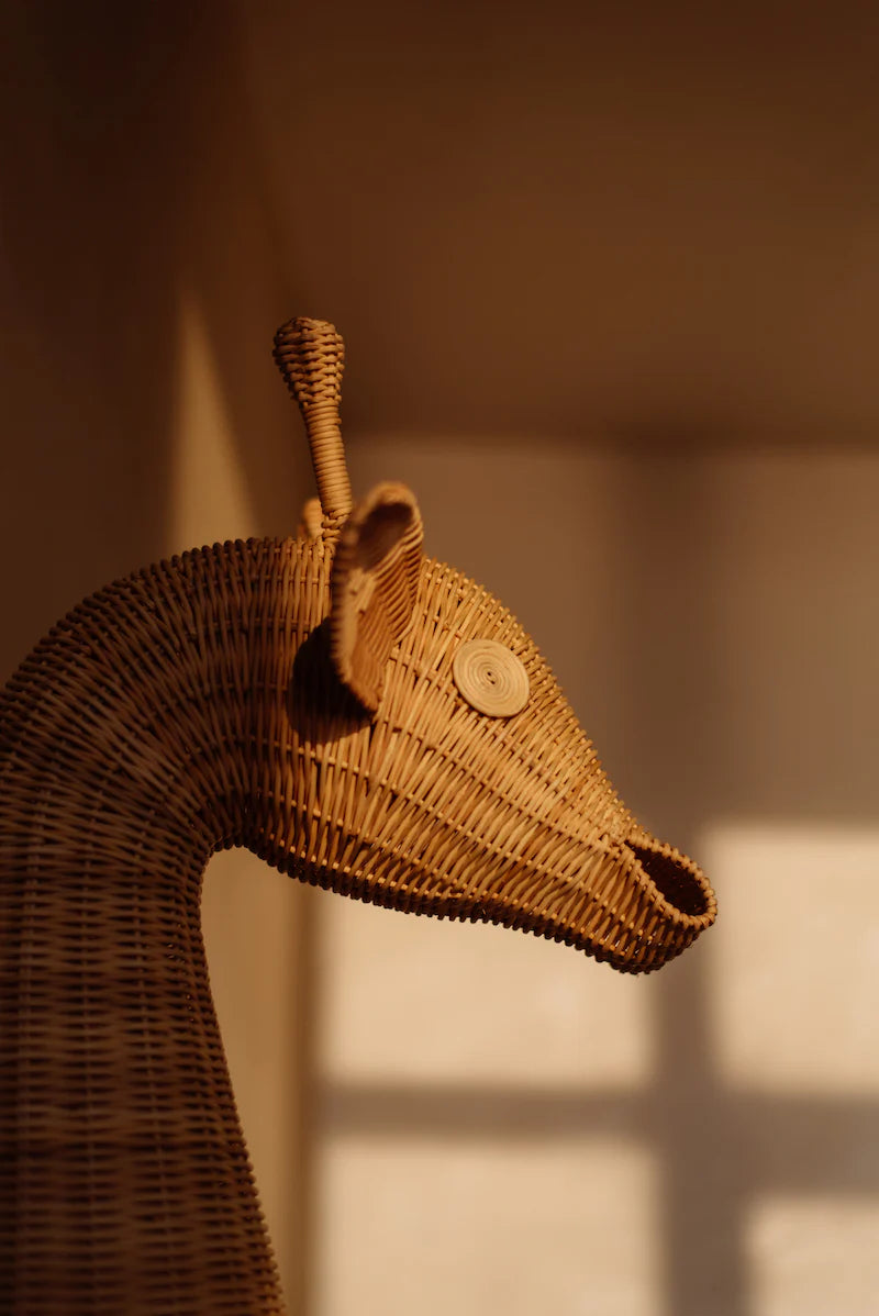 George the Giraffe