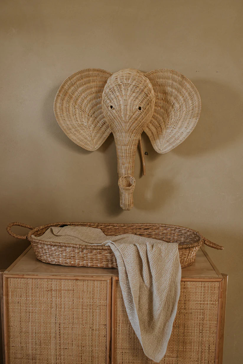 Edward the Elephant